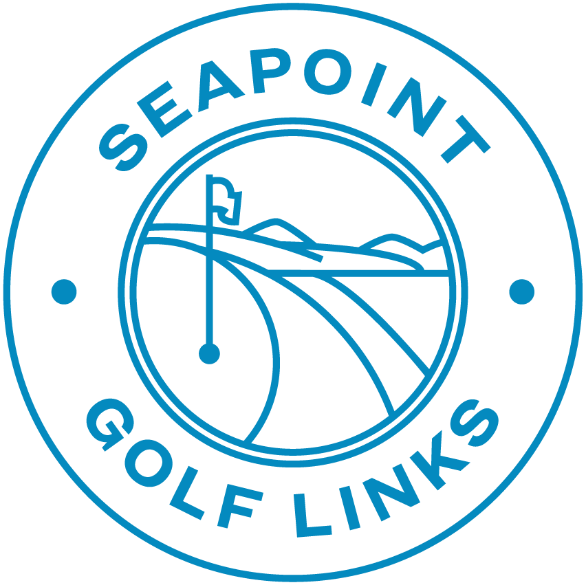 Seapoint Logo Linework cyan