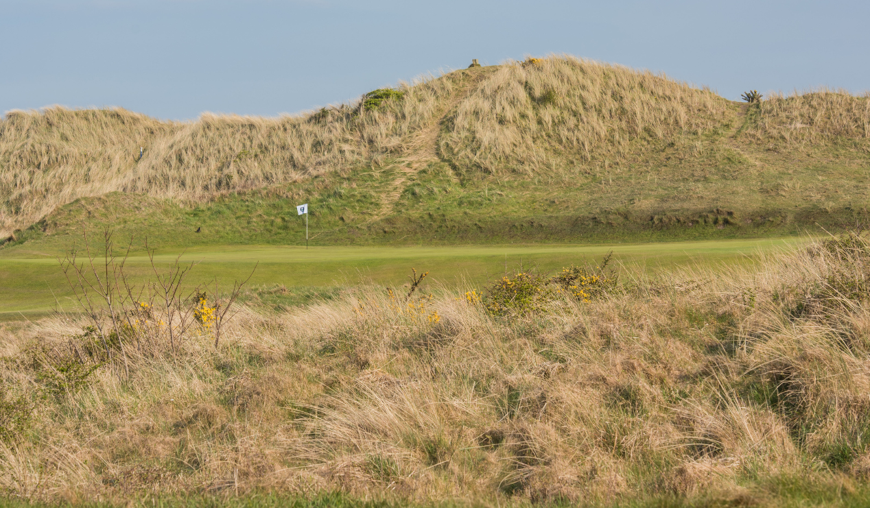 Course Guide Hole 15 Summary 1268x741