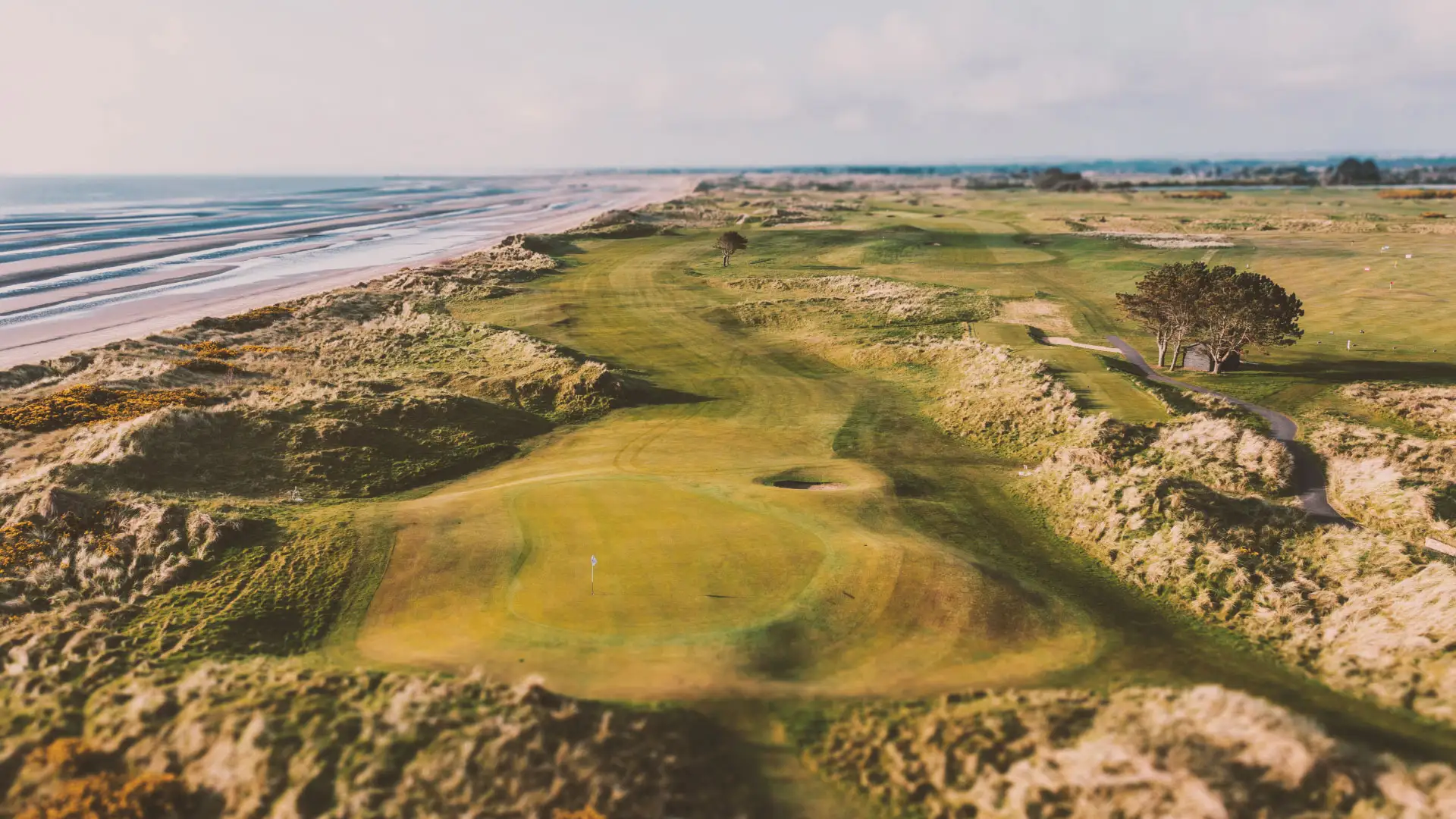 links gold on irelands ancient east
